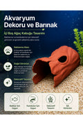 İçi Boş Ağaç Kabuğu Akvaryum Dekoru – Balık ve Karides Saklanma Alanı, Dekoratif Akvaryum Süsü