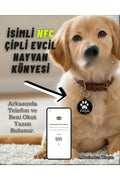 İsme Özel Akıllı NFC Köpek Künyesi İsimlik Tasma- Kayıp Önleyici Dijital Tasmalı Çip